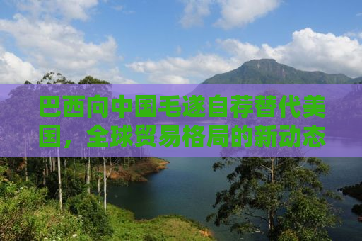 巴西向中国毛遂自荐替代美国，全球贸易格局的新动态