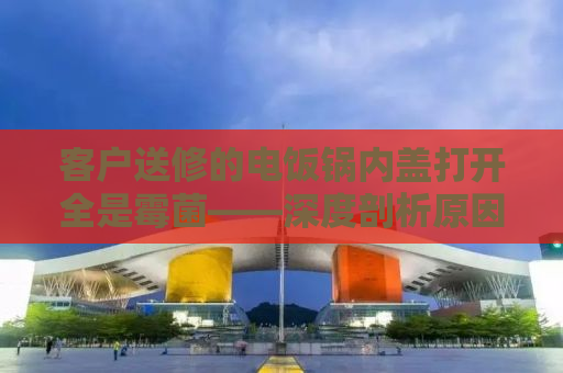 客户送修的电饭锅内盖打开全是霉菌——深度剖析原因及应对建议