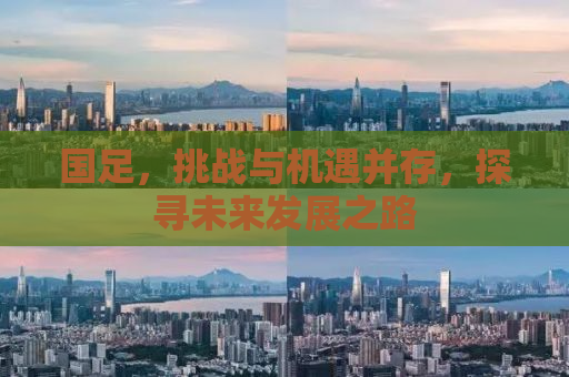 国足，挑战与机遇并存，探寻未来发展之路