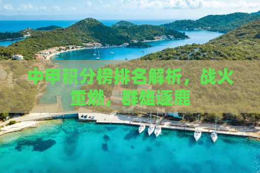 中甲积分榜排名解析，战火重燃，群雄逐鹿