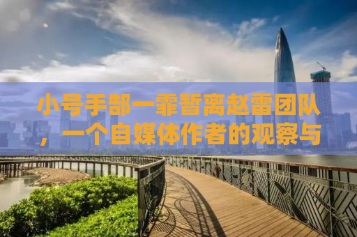 小号手郜一霏暂离赵雷团队，一个自媒体作者的观察与思考