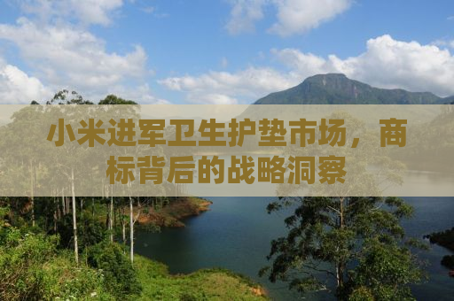 小米进军卫生护垫市场，商标背后的战略洞察
