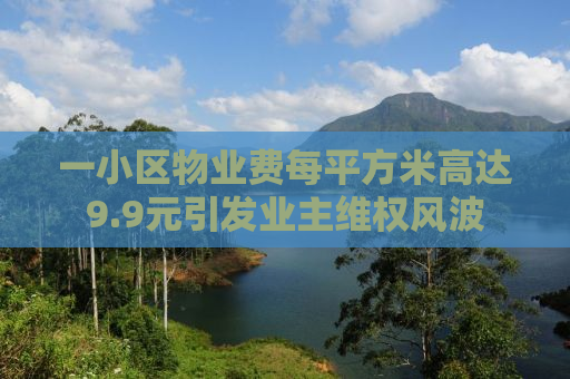 一小区物业费每平方米高达9.9元引发业主维权风波