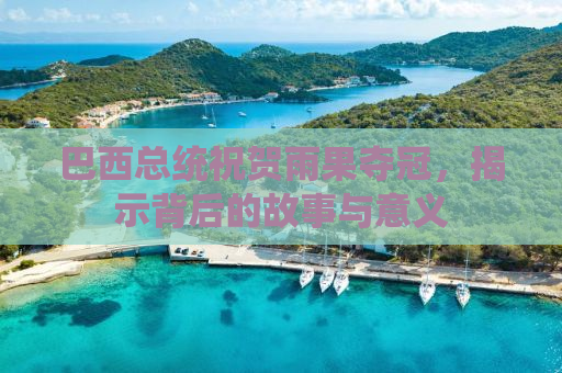 巴西总统祝贺雨果夺冠，揭示背后的故事与意义