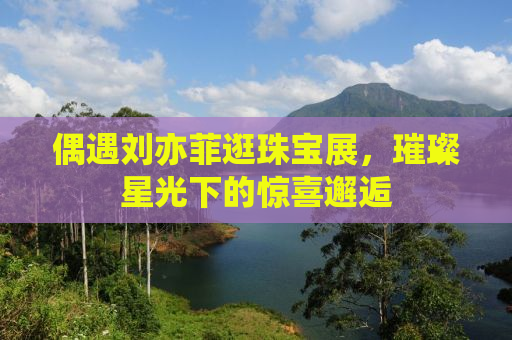 偶遇刘亦菲逛珠宝展，璀璨星光下的惊喜邂逅