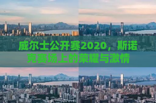 威尔士公开赛2020，斯诺克赛场上的荣耀与激情