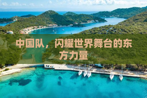 中国队，闪耀世界舞台的东方力量