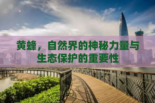黄蜂，自然界的神秘力量与生态保护的重要性