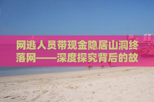 网逃人员带现金隐居山洞终落网——深度探究背后的故事与警示