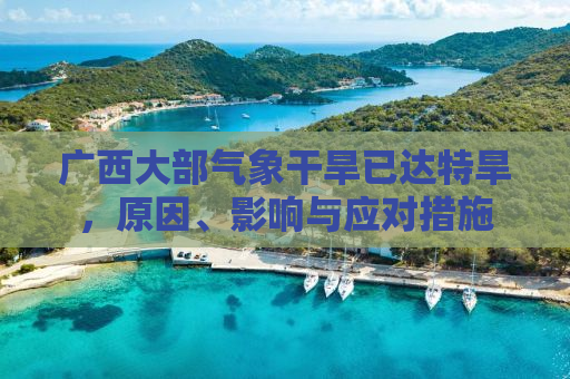 广西大部气象干旱已达特旱，原因、影响与应对措施
