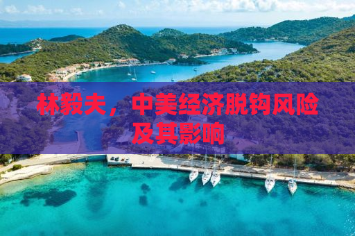 林毅夫，中美经济脱钩风险及其影响