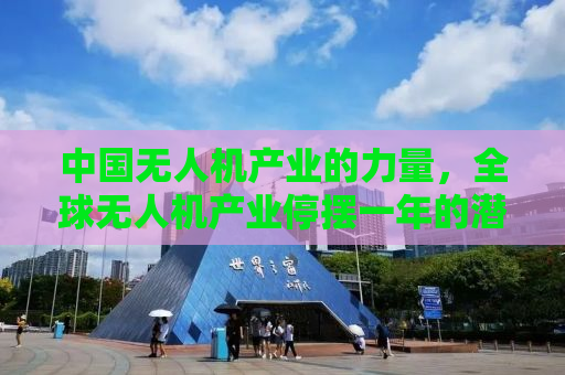 中国无人机产业的力量，全球无人机产业停摆一年的潜在影响