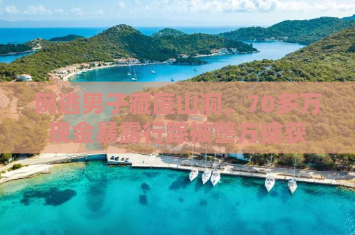 网逃男子藏匿山洞，70多万现金暴露行踪被警方擒获