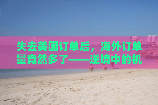 失去美国订单后，海外订单量竟然多了——逆境中的机遇与挑战