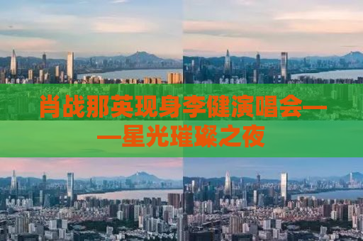肖战那英现身李健演唱会——星光璀璨之夜