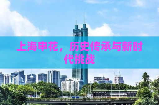 上海申花，历史传承与新时代挑战