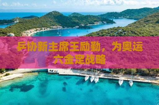 乒协新主席王励勤，为奥运六金定战略
