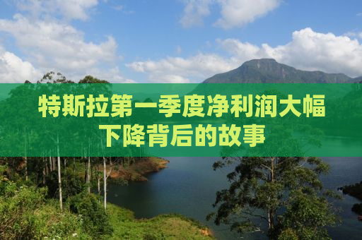 特斯拉第一季度净利润大幅下降背后的故事