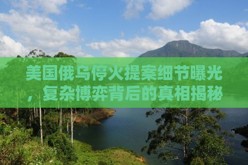 美国俄乌停火提案细节曝光，复杂博弈背后的真相揭秘