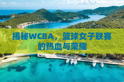 揭秘WCBA，篮球女子联赛的热血与荣耀