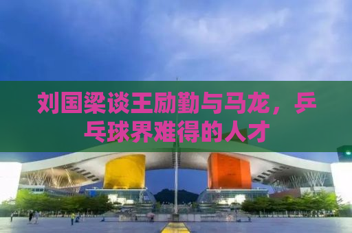刘国梁谈王励勤与马龙，乒乓球界难得的人才