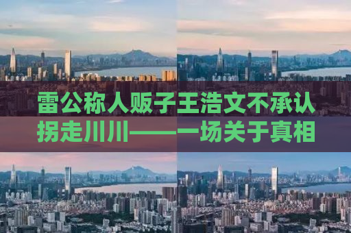 雷公称人贩子王浩文不承认拐走川川——一场关于真相与正义的较量