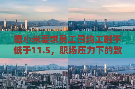 曝小米要求员工日均工时不低于11.5，职场压力下的数字真相与挑战