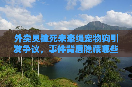 外卖员撞死未牵绳宠物狗引发争议，事件背后隐藏哪些社会问题？