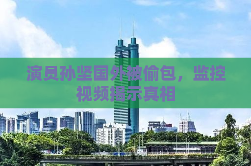 演员孙坚国外被偷包，监控视频揭示真相
