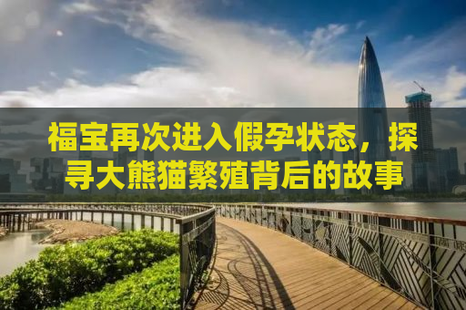 福宝再次进入假孕状态，探寻大熊猫繁殖背后的故事