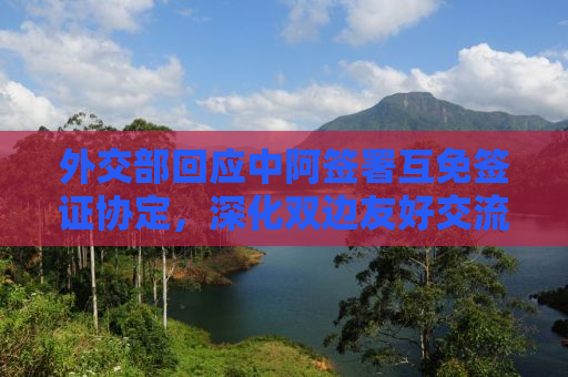 外交部回应中阿签署互免签证协定，深化双边友好交流的新里程碑