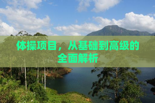 体操项目，从基础到高级的全面解析