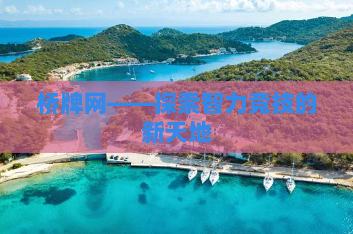 桥牌网——探索智力竞技的新天地