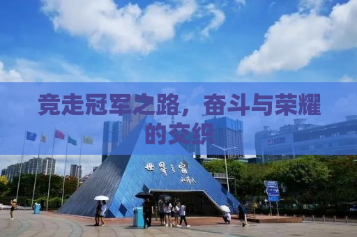 竞走冠军之路，奋斗与荣耀的交织