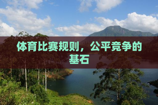 体育比赛规则，公平竞争的基石