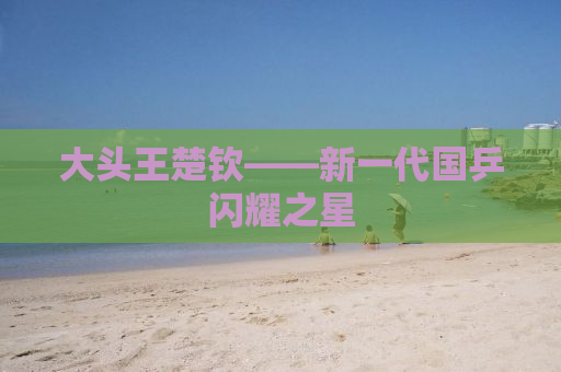 大头王楚钦——新一代国乒闪耀之星