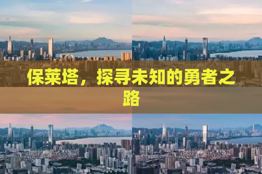 保莱塔，探寻未知的勇者之路