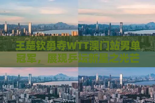 王楚钦勇夺WTT澳门站男单冠军，展现乒坛新星之光芒