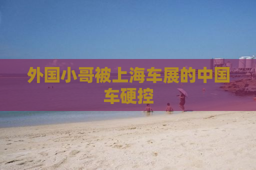 外国小哥被上海车展的中国车硬控