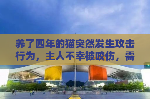 养了四年的猫突然发生攻击行为，主人不幸被咬伤，需输液一周