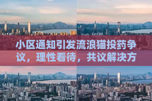 小区通知引发流浪猫投药争议，理性看待，共议解决方案
