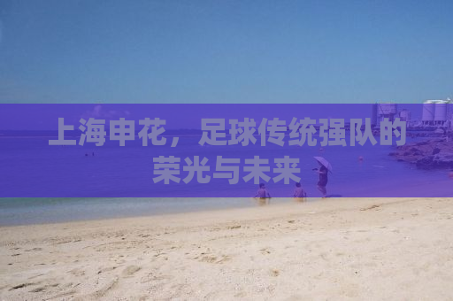 上海申花，足球传统强队的荣光与未来