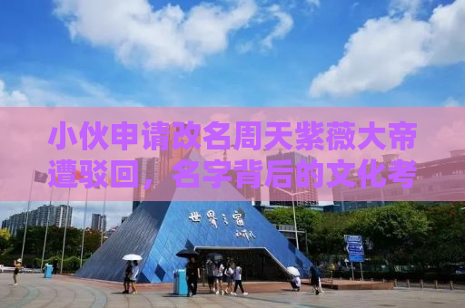 小伙申请改名周天紫薇大帝遭驳回，名字背后的文化考量与社会责任