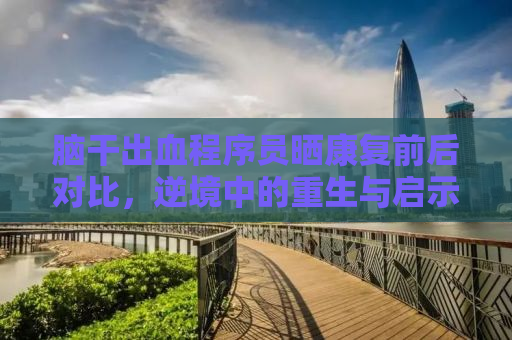 脑干出血程序员晒康复前后对比，逆境中的重生与启示