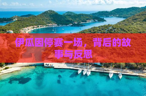 伊瓜因停赛一场，背后的故事与反思