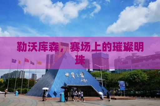 勒沃库森，赛场上的璀璨明珠