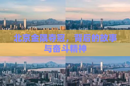 北京金隅夺冠，背后的故事与奋斗精神