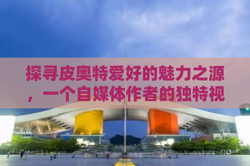 探寻皮奥特爱好的魅力之源，一个自媒体作者的独特视角