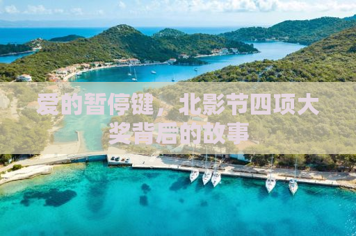 爱的暂停键，北影节四项大奖背后的故事