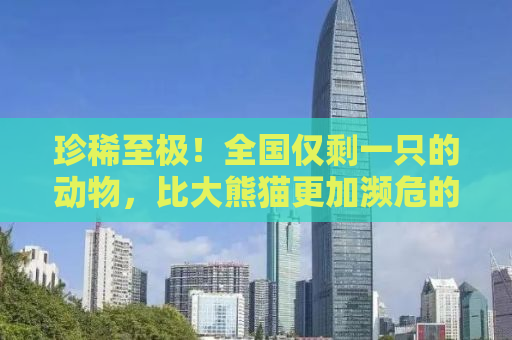 珍稀至极！全国仅剩一只的动物，比大熊猫更加濒危的生存状况